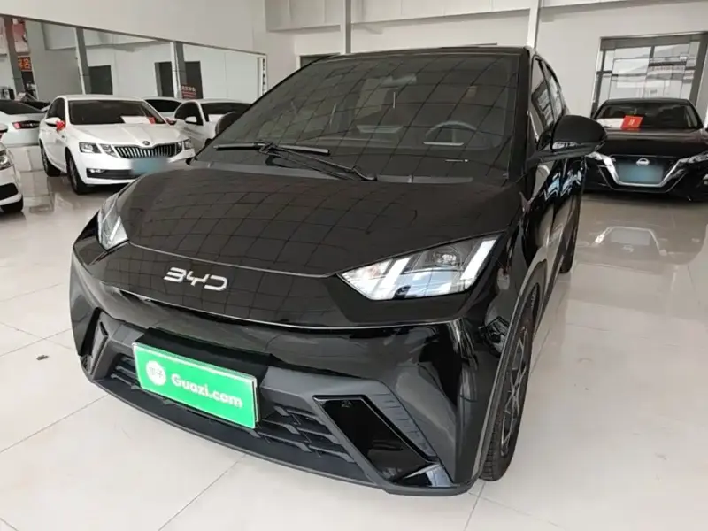 BYD Seagull