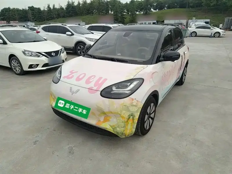 Wuling Bingo