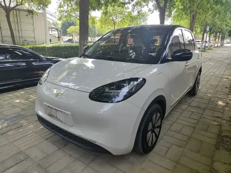 Wuling Bingo