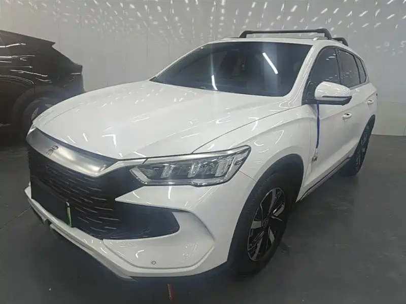 BYD Pro New Energy