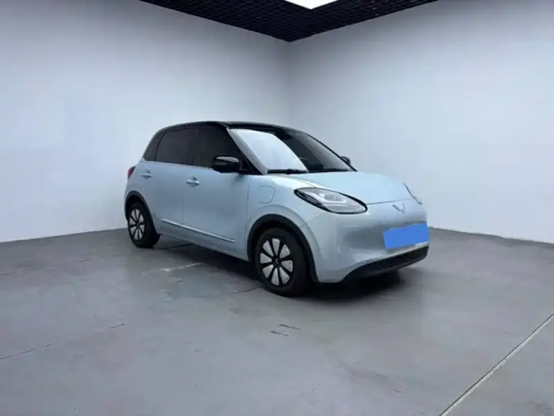 Wuling Bingo