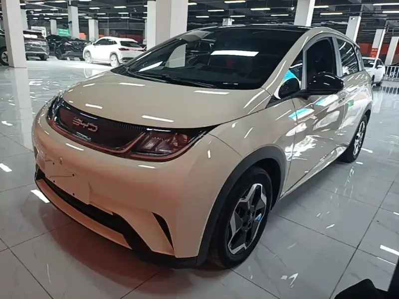 BYD Dolphin