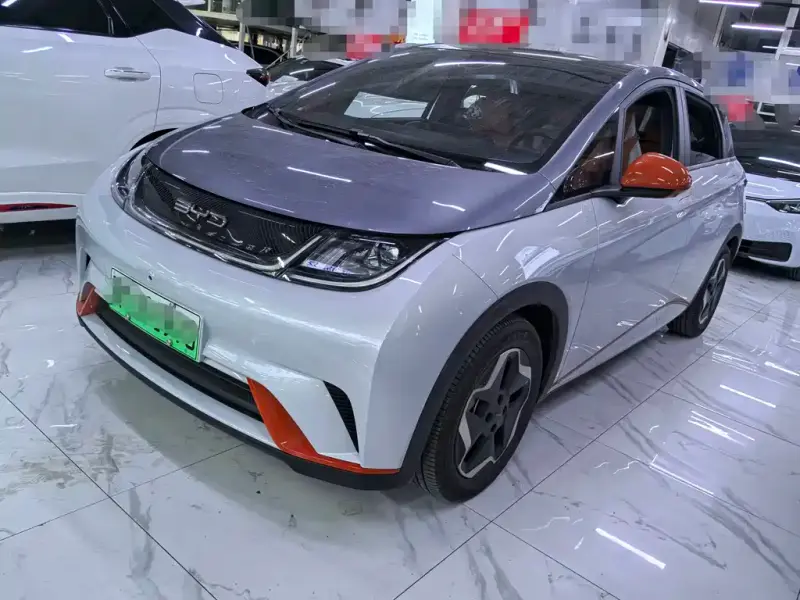 BYD Dolphin