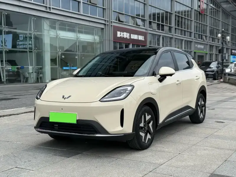 Wuling Bingo S