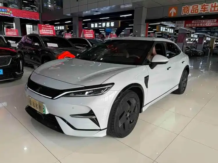 BYD L EV