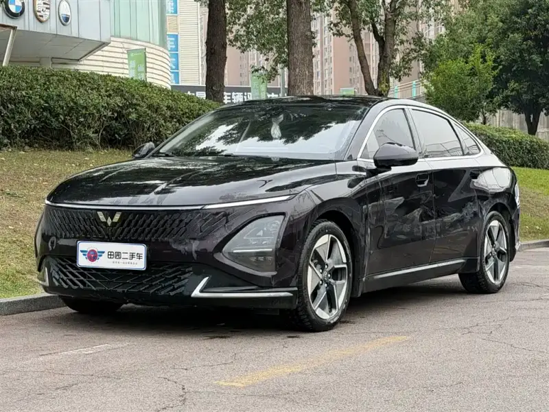 Wuling Starlight (Xingguang)