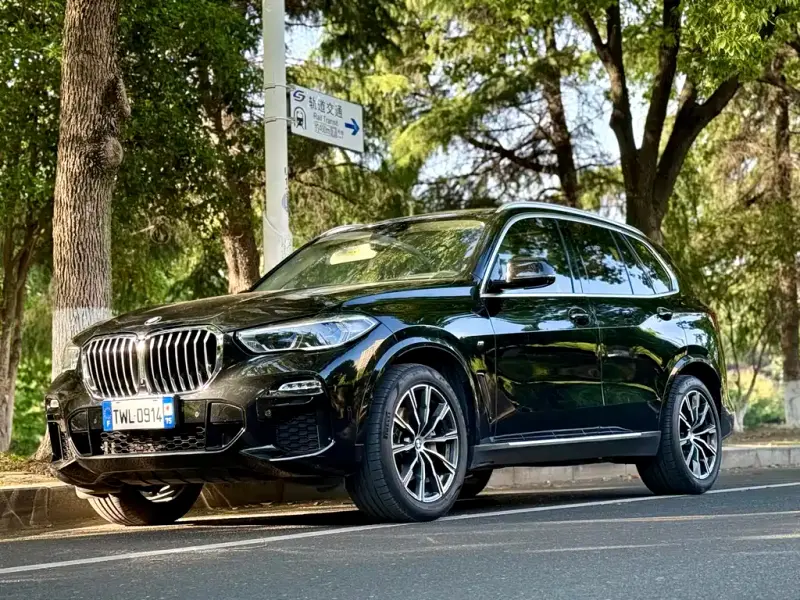 BMW X5 (Import)