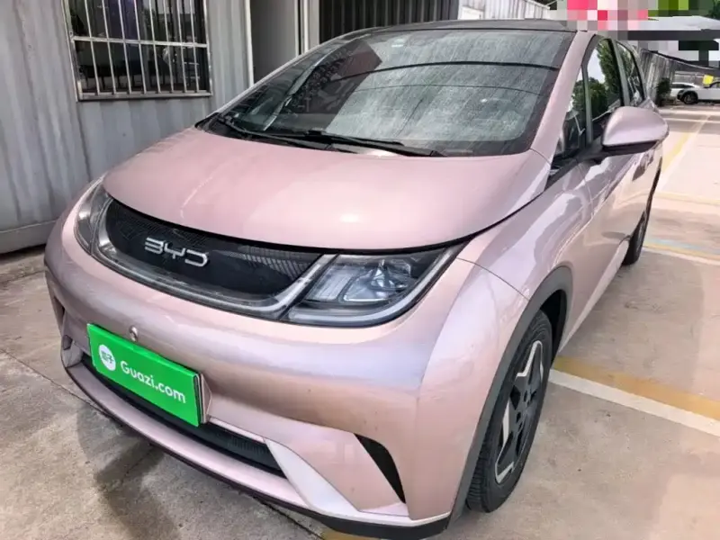 BYD Dolphin