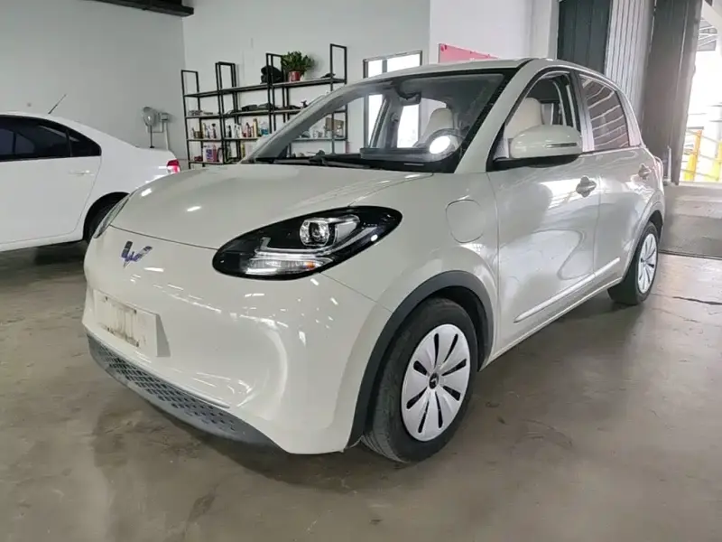 Wuling Bingo