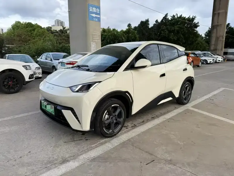BYD Seagull