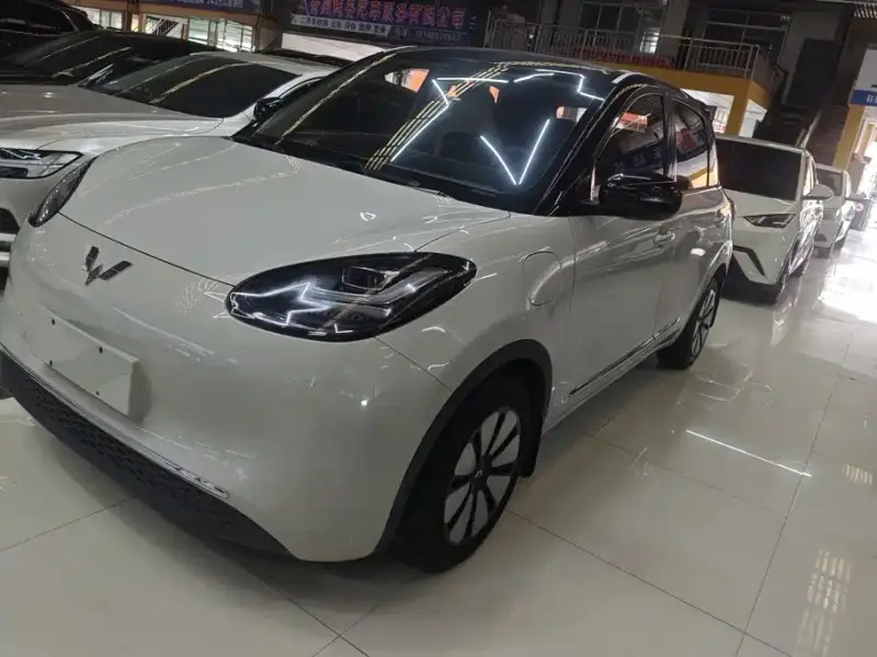 Wuling Bingo