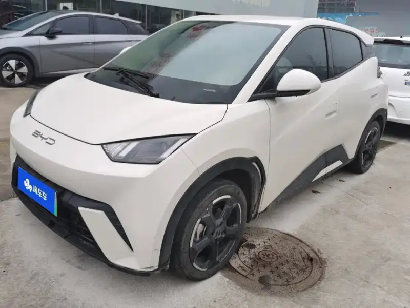 BYD Seagull