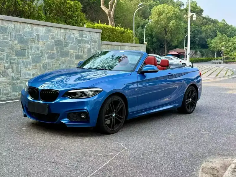 BMW 2 Series (Import)