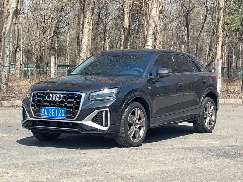 Audi Q2L