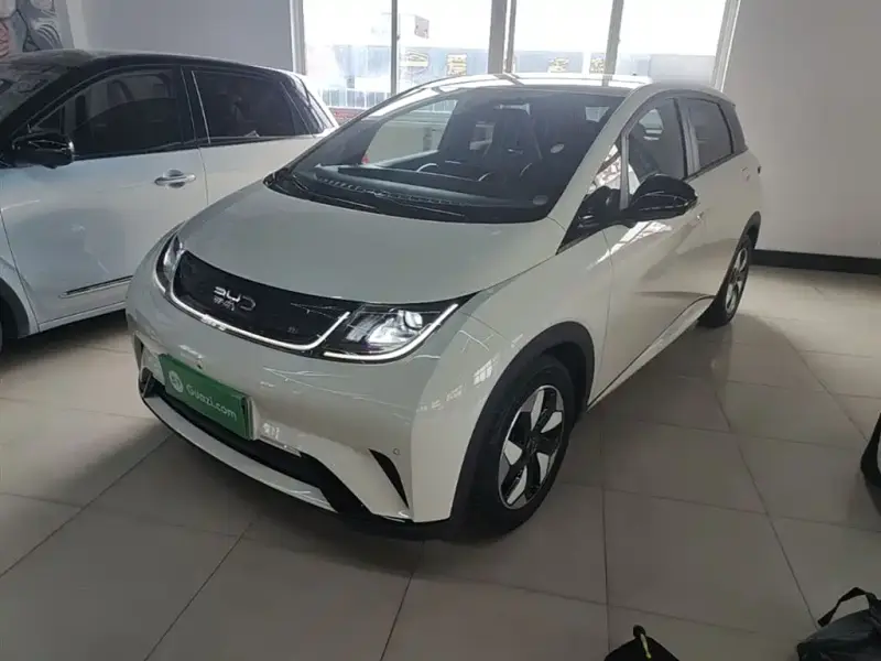 BYD Dolphin