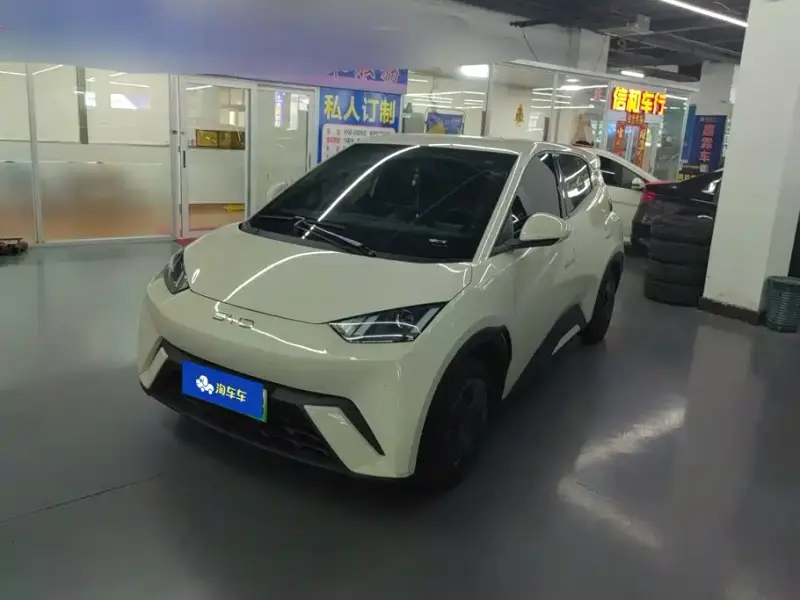 BYD Seagull