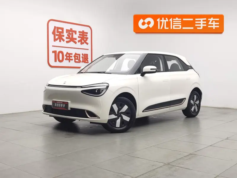 Dongfeng Yipai Nami 01