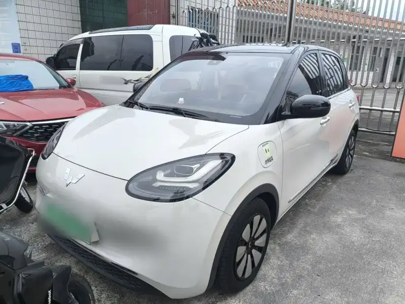 Wuling Bingo
