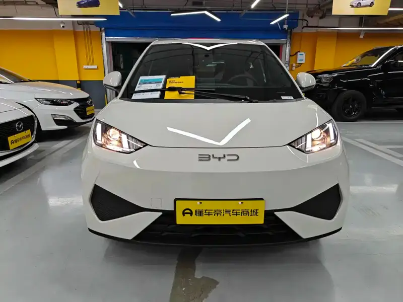 BYD Seagull