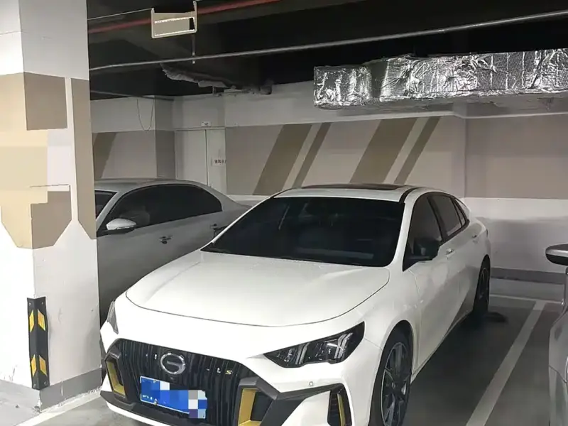 GAC Motor Empow (Shadow Leopard)