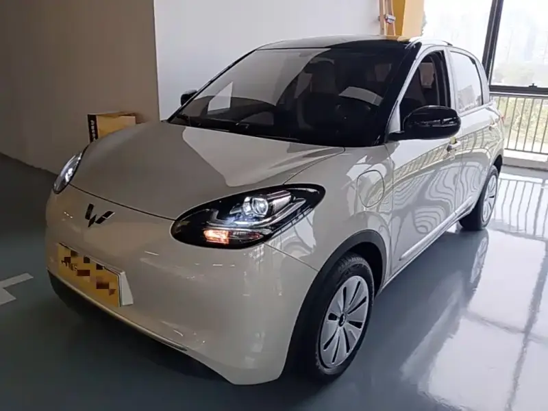 Wuling Bingo