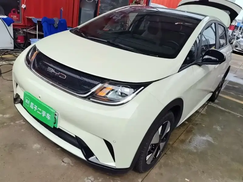 BYD Dolphin