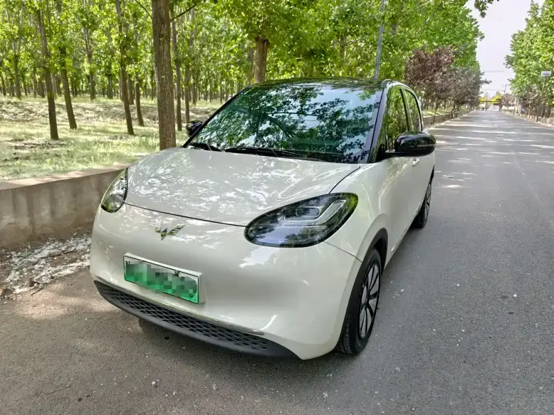 Wuling Bingo