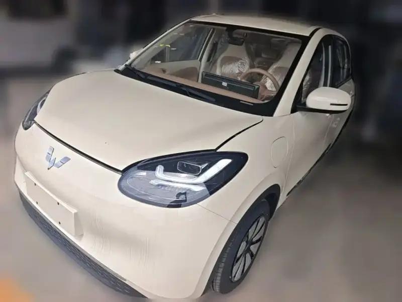Wuling Bingo