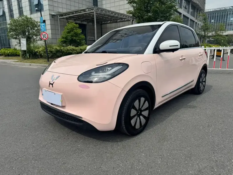 Wuling Bingo