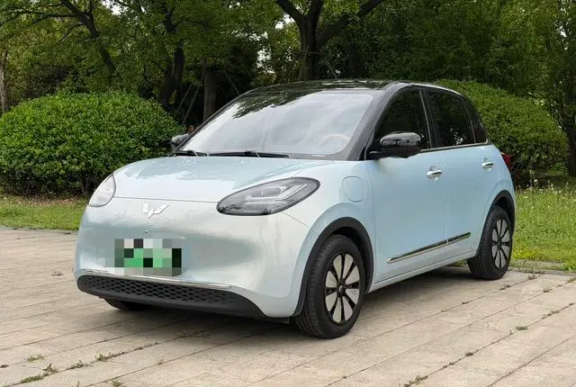 Wuling Bingo