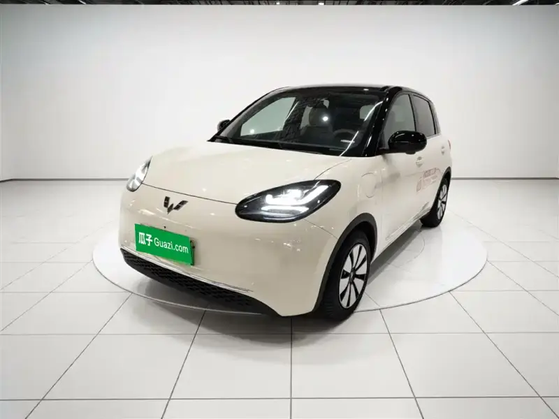 Wuling Bingo