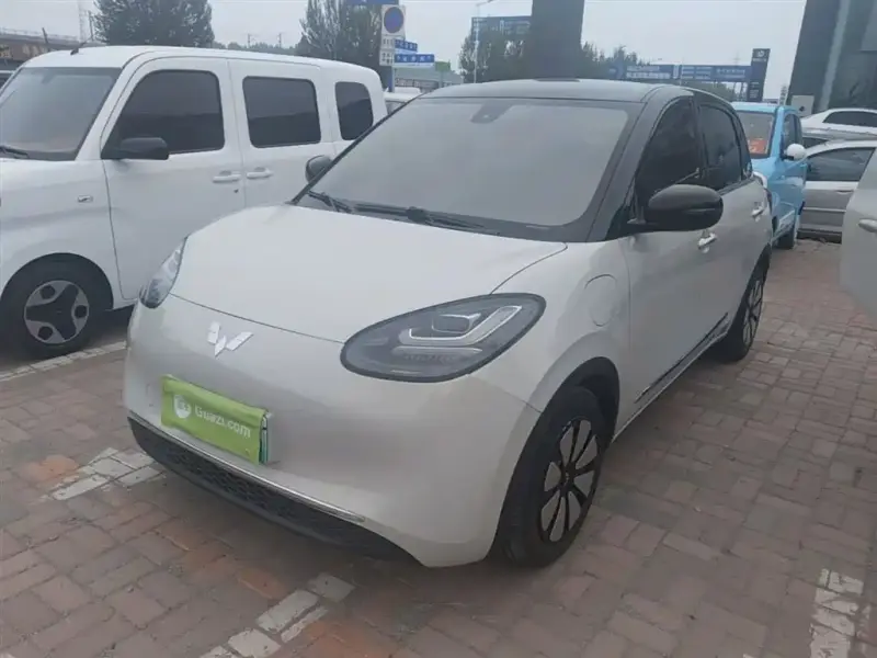 Wuling Bingo