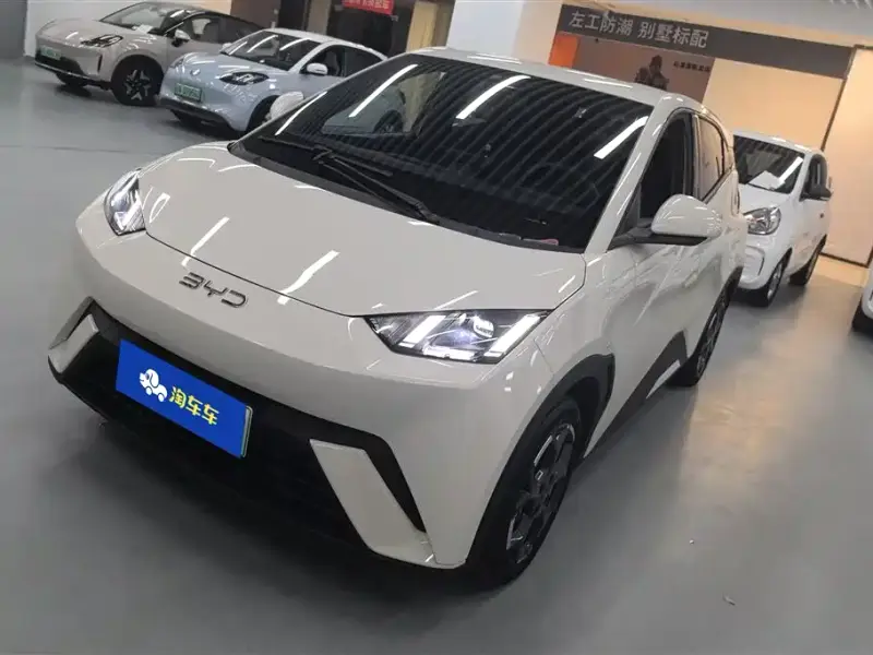 BYD Seagull