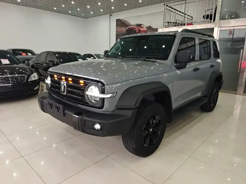 Tank 300