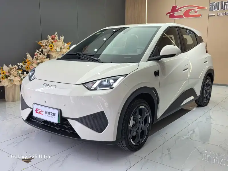 BYD Seagull