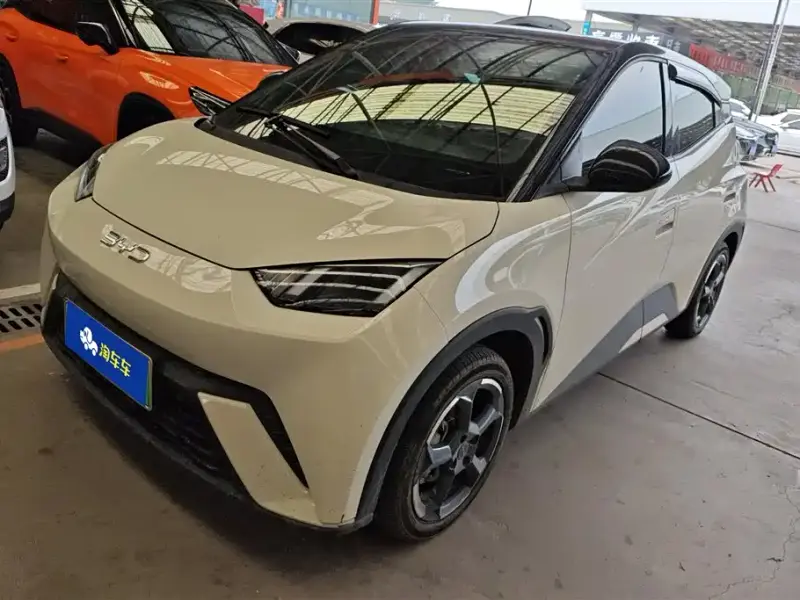 BYD Seagull