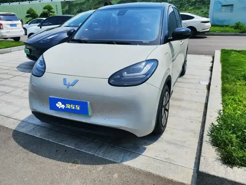 Wuling Bingo