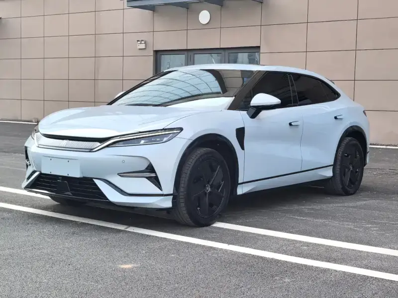 BYD L EV
