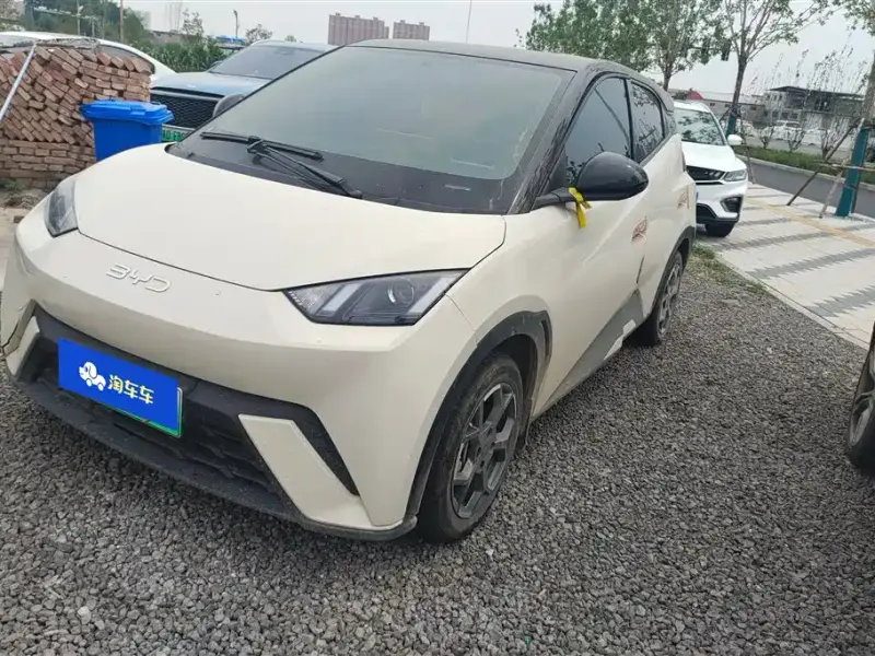 BYD Seagull