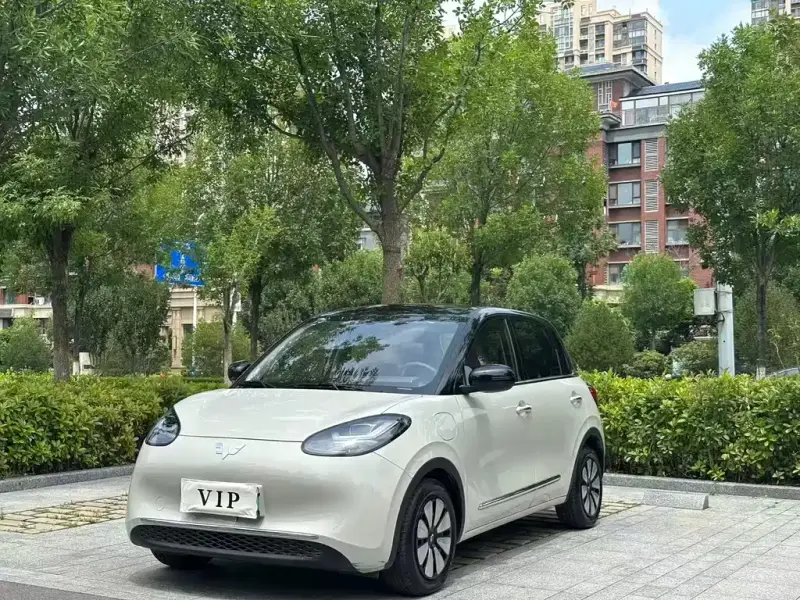 Wuling Bingo
