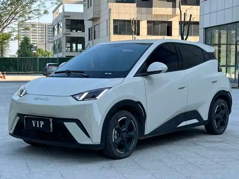 BYD Seagull