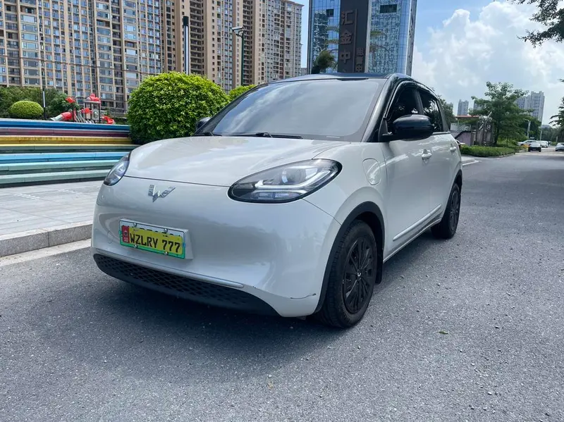 Wuling Bingo