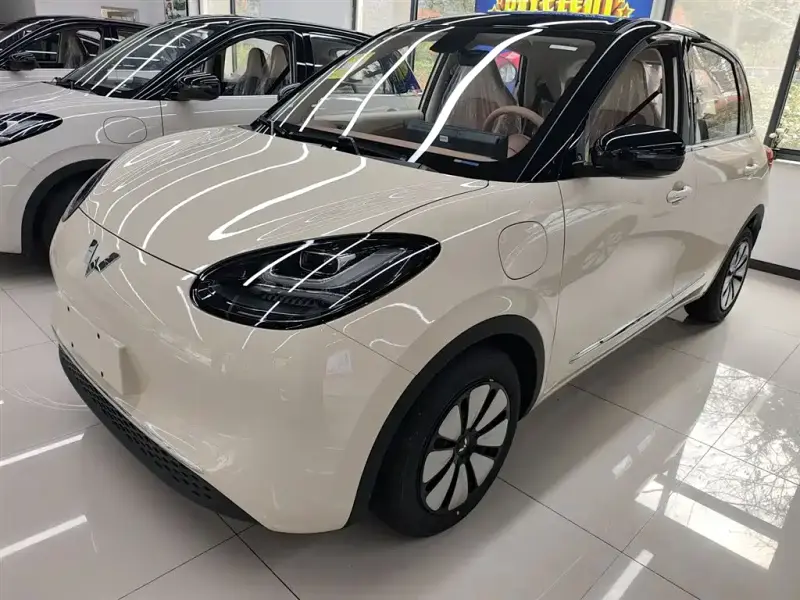 Wuling Bingo