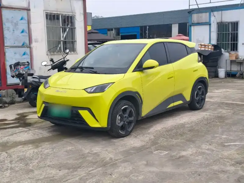 BYD Seagull