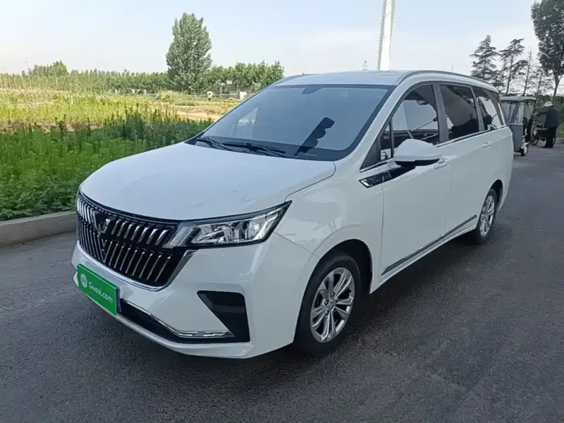 Wuling Jiachen