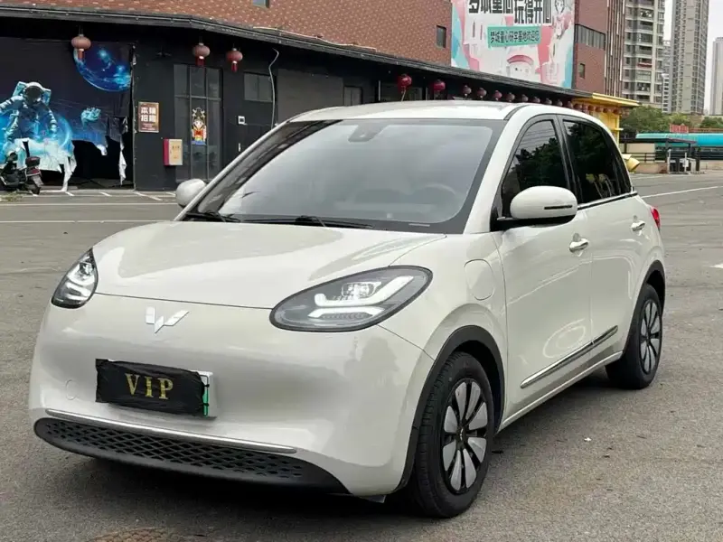 Wuling Bingo