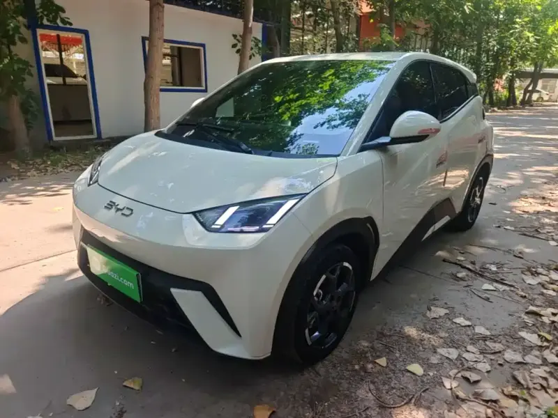 BYD Seagull