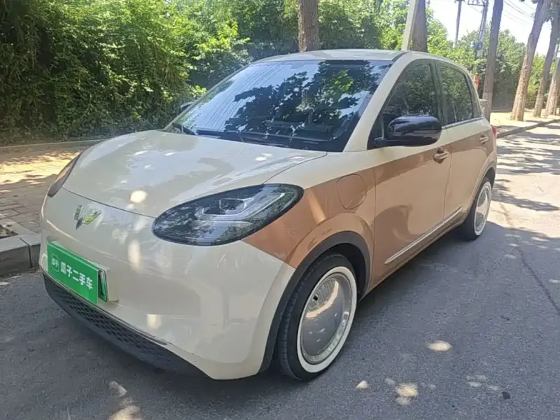 Wuling Bingo