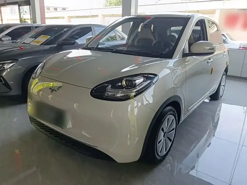 Wuling Bingo