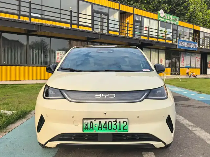 BYD Dolphin